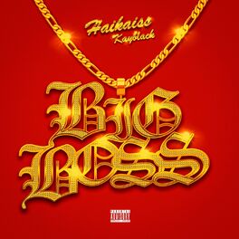 Album cover of Big Boss