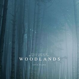 Album cover of Woodlands (Solo Piano)