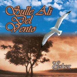 Album cover of Sulle ali del vento