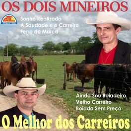 Album cover of O Melhor dos Carreiros