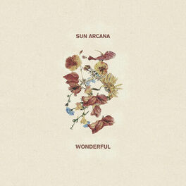 Album cover of Wonderful (Single Edit)