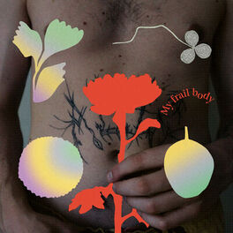 Album cover of My Frail Body