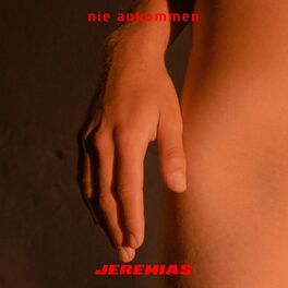 Album cover of nie ankommen