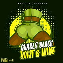Charly Black - Gyal You A Party Animal: listen with lyrics | Deezer