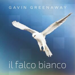 Album cover of Il Falco Bianco