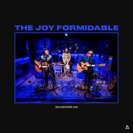 Album cover of The Joy Formidable on Audiotree Live