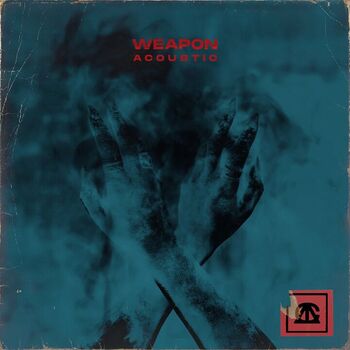 weapon cover