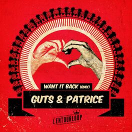 Album picture of Want It Back (L'Entourloop & Troy Berkley Remix)