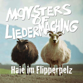 Album cover of Haie Im Flipperpelz