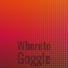 Album cover of Whereto Goggle