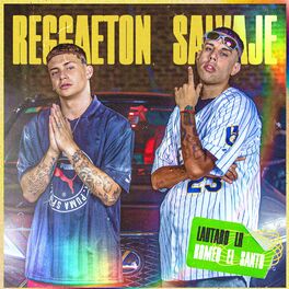 Album cover of Reggaeton Salvaje