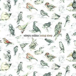 Album cover of Losing Sleep