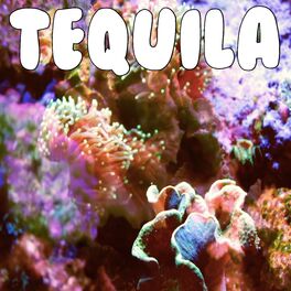 Album cover of Tequila (But When I Taste Tequila Baby I Still See Ya) (But When I Taste Tequila (But When I Taste Tequila Baby I Still See Ya) Ba