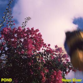 Album cover of Neon River