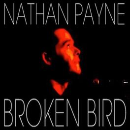 Album cover of Broken Bird