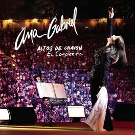 Album cover of Altos De Chavón El Concierto