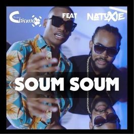 Album cover of Soum Soum