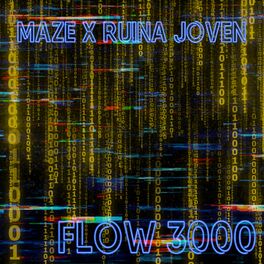 Album cover of Flow 3000