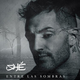 Album cover of Entre las sombras
