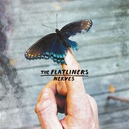 Album cover of Nerves