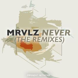 Album cover of Never (Remix E.P.)