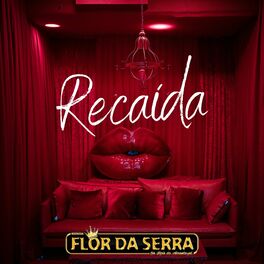 Album cover of Recaída