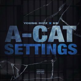Album cover of A-Cat Settings