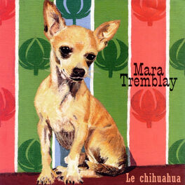 Album cover of Le Chihuahua