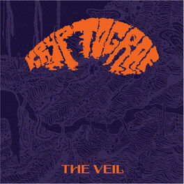 Album cover of The Veil