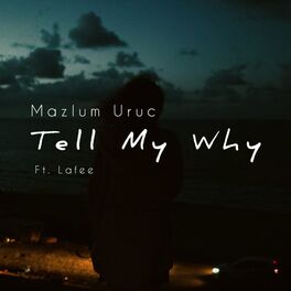 Album cover of Tell My Why (feat. Lafee)