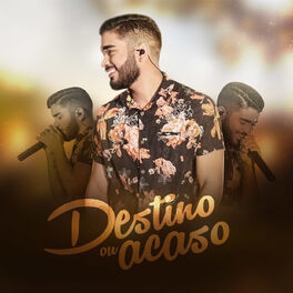 Album cover of Destino ou Acaso