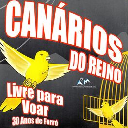 Album cover of Livre para Voar (Ao Vivo)