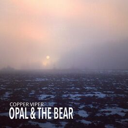 Album cover of Opal & The Bear