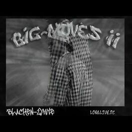 Album cover of Big Moves 2