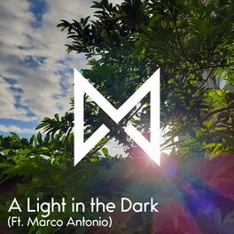 Album cover of A Light in the Dark