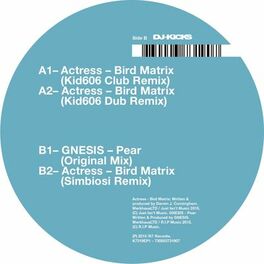 Album cover of Bird Matrix (Remixes)