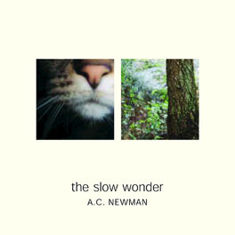 Album cover of The Slow Wonder