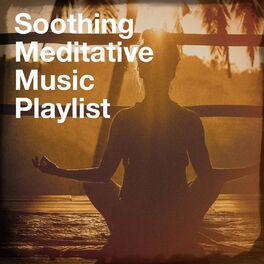 Album cover of Soothing Meditative Music Playlist