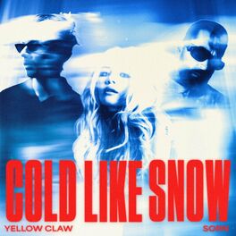 Album cover of Cold Like Snow