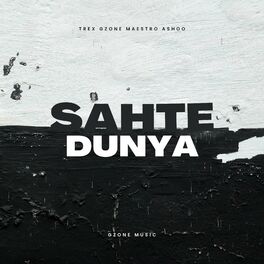 Album cover of Sahte Dünya (feat. Maestro & Ashoo)