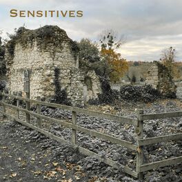 Album cover of Sensitives