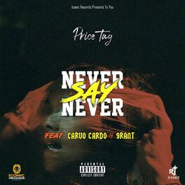 Album cover of Never Say Never (feat. Carvo Cardo & Grant)