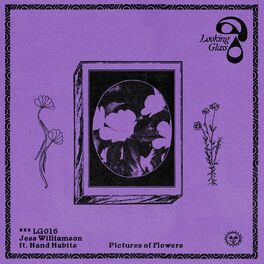 Album cover of Pictures of Flowers