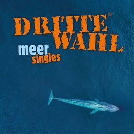 Album cover of Meer Singles