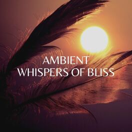 Album cover of Ambient Whispers of Bliss