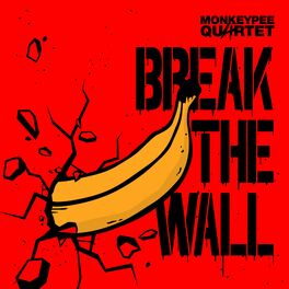 Album cover of Break the Wall