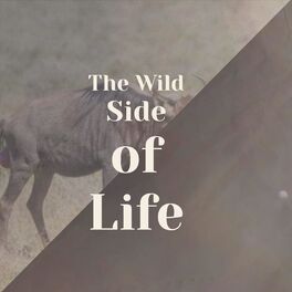 Album cover of The Wild Side of Life