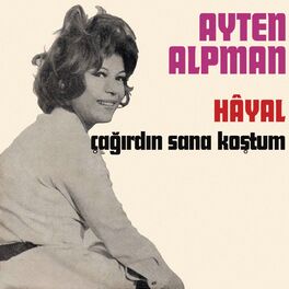 Album cover of Hayal / Çağırdın Sana Koştum