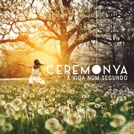 Album cover of A Vida num Segundo