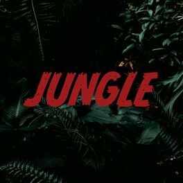 Album cover of Jungle (feat. Caleb Hearn)